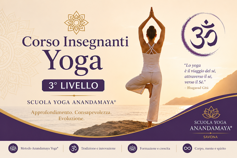 Insegnanti 3° Livello